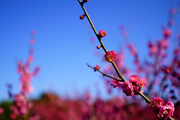 CBCD00F2-45BF-47FF-9BE1-432A58543483/L0/001
