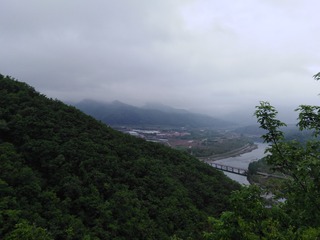 293544