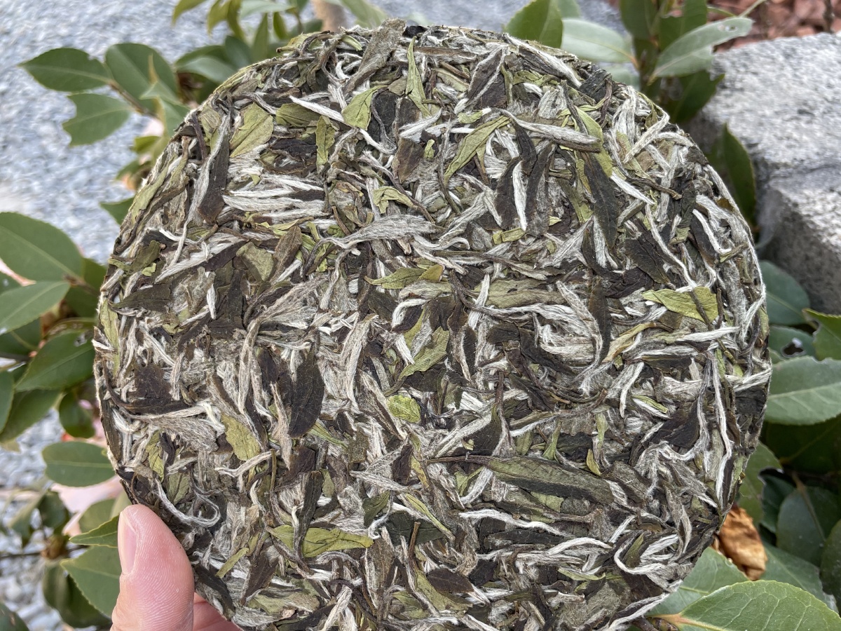 福鼎白茶 2020 一级白牡丹产地: 福鼎市太姥山镇方家山村国子白茶业