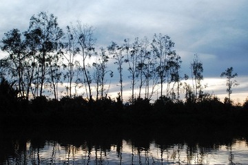 DSC_0444.jpg