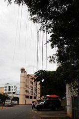 DSC_1019.jpg