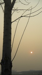 5F0C45D9-1A40-46D5-B1D5-52AEBFBDEB80/L0/001