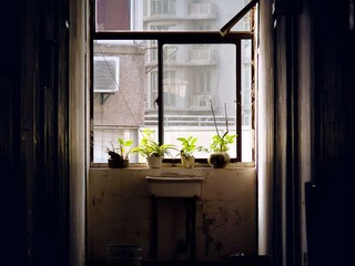P1090266