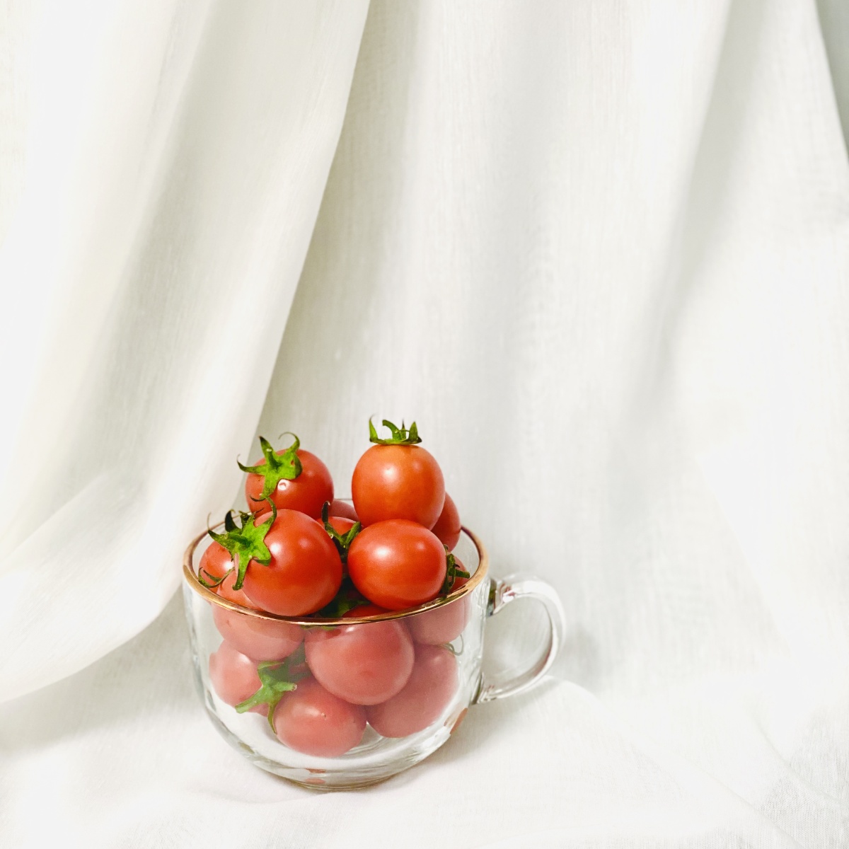 就尝试了下苹果的人像模式摆拍