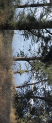 09207282-EBBA-48B8-AEDB-F2244389F8D1/L0/001