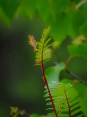 A27CE305-78E1-4B60-8CE1-F71677F8A723/L0/001