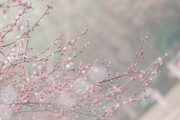 CEFBFC20-B089-4A9C-8559-C75672B156BA/L0/001