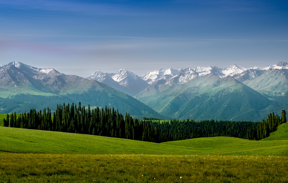 草原雪山新疆一年四季景色各异春夏之际远望巍巍雪山耸入蓝天山脚下