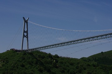1000033646
