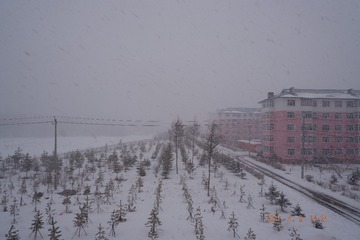 B2A876C5-A40C-4CB7-9386-628B76DFE390/L0/001