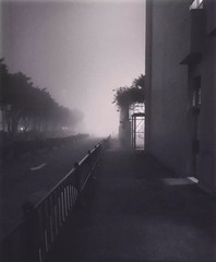 4905558B-605E-4B55-B3CD-416CEE312745/L0/001