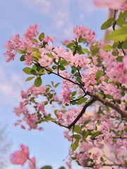 47DB2ED9-0068-4B29-B91C-F5766FA8E59E/L0/001