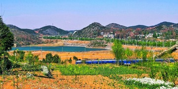 912621