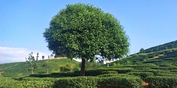 878920