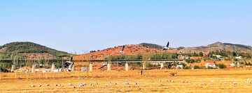 904544