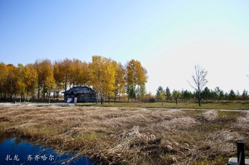 DSC_3560.jpg