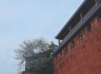 AF01730A-B1D9-4C50-A295-F4025A1610A5/L0/001