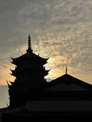 E63A8B2D-78BE-4849-8E9B-DCED02793C97/L0/001