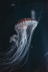 3924BD61-7F4C-41FD-829E-B93FA4E9B361/L0/001