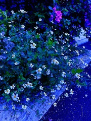 9A2E92BF-3283-4AB1-813F-45CB4FCAA1A7/L0/001