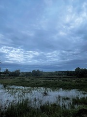 57D09415-DA10-40D2-8D7B-6B63AAFF36EA/L0/001