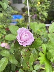 76F4E5EB-54A1-48E4-BD83-E50D3B642CAE/L0/001