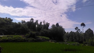 20011