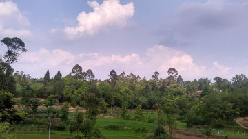 20014