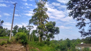 20015