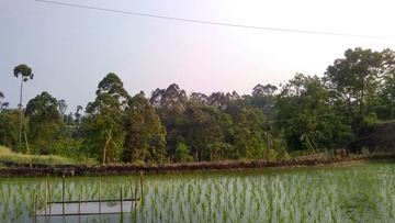20016