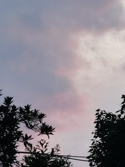 110036