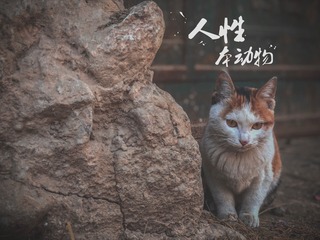 9F864AA1-E9E0-477F-B02F-7122B8BC1357/L0/001