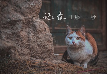 DA94DC2E-A6B1-478E-B181-F351B3445FF6/L0/001