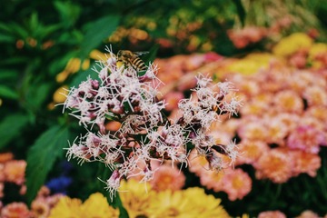 927F99CB-FDFF-4065-A007-6B0FCB0850E0/L0/001