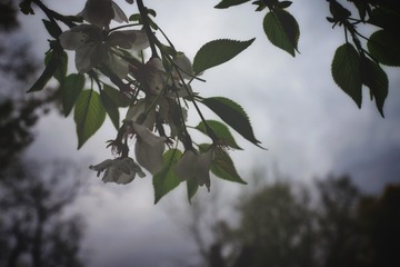 E6603A38-06B0-4D18-A2FA-5AE761B54E81/L0/001