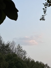 27A43059-72F2-42E1-B9DF-BE4349FCF354/L0/001