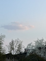 F7DCA4C1-6C46-41AC-98C5-39FB84D70941/L0/001
