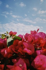 B11FA531-5213-4513-96EB-93A988B1E81F/L0/001