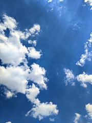 83388