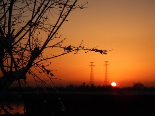 CED5F152-6AA1-442B-AC86-70F5C40ECC5F/L0/001