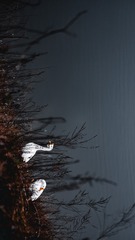 891B6CF3-BC66-4FAD-A60E-664304E4D4C6/L0/001