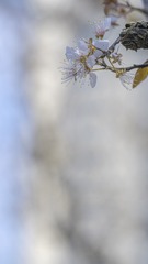 DD449931-538C-4227-AB86-D22FC4252602/L0/001