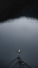 751F70AF-596A-4BF5-B971-AE00959783E4/L0/001