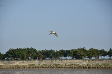 2A249A09-FFE4-445F-A9A5-EF22106AFB85/L0/001