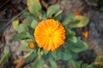 AA69F130-537F-452B-AE7F-648787F3C7FA/L0/001