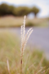 F5711CF2-D22F-4777-84FF-DDE9B9A17ED2/L0/001