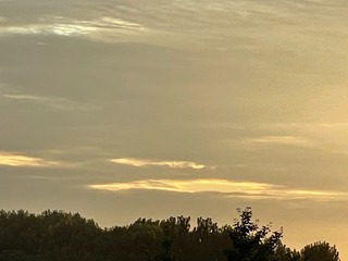 8D6667F2-9579-4B64-81B9-F50169BA19F9/L0/001