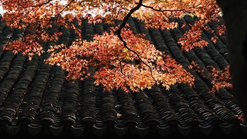 92AC96F6-214D-4989-969D-4B378B411CCF/L0/001