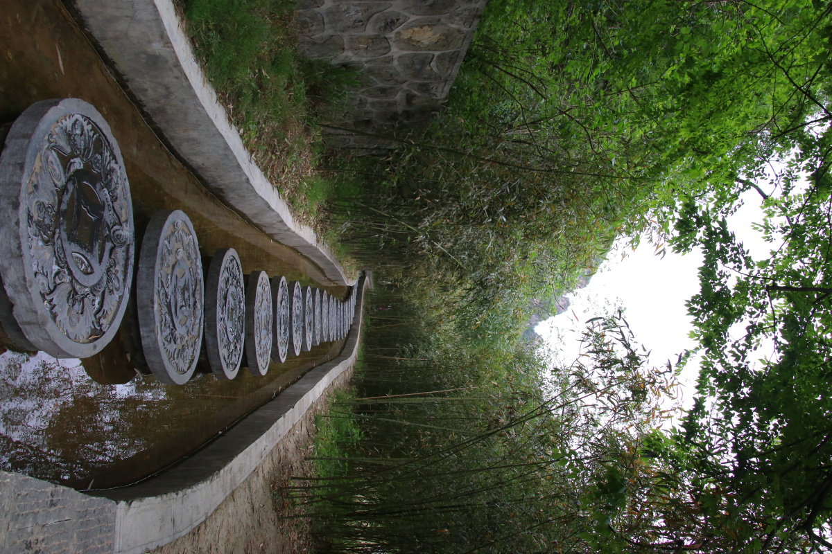 青天河风景区的竹林快活林天然氧吧