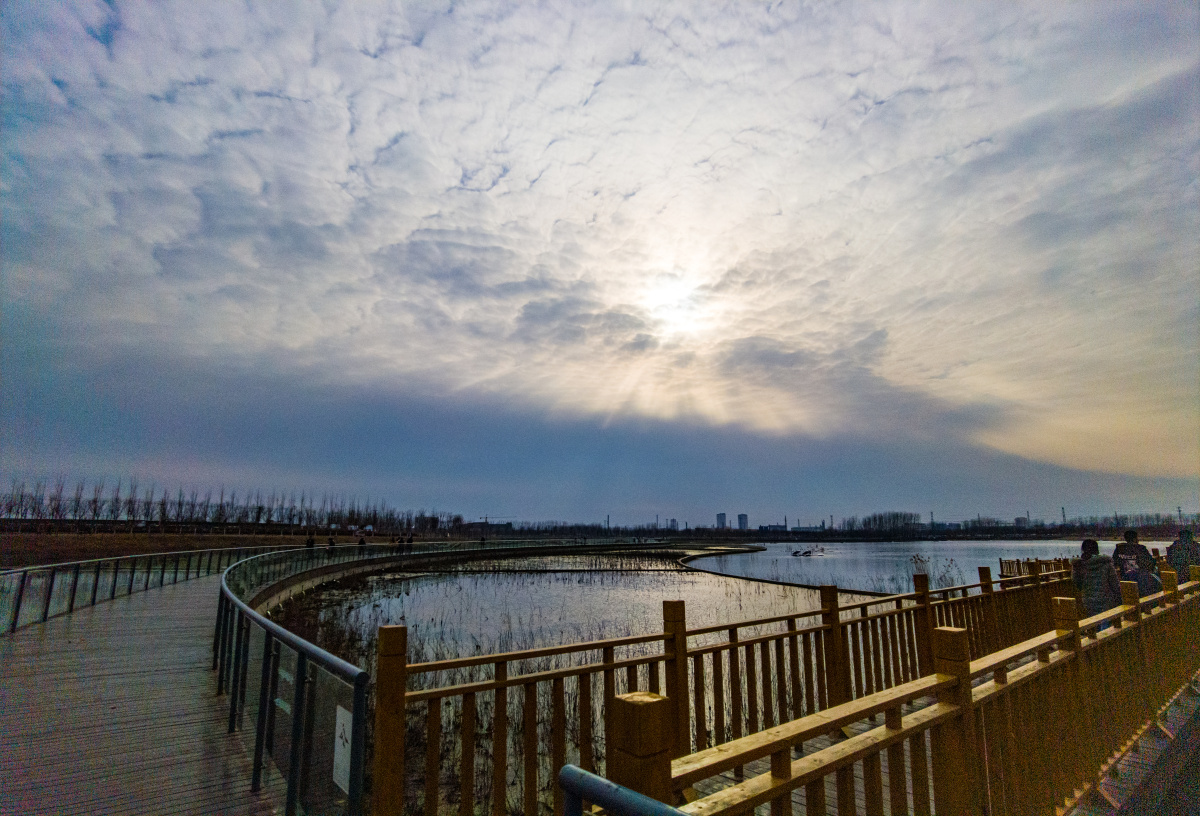 洙水河湿地公园220220206